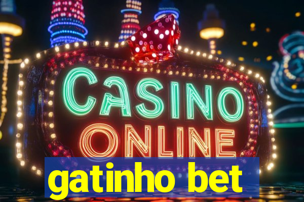 gatinho bet